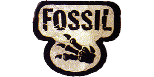 Fossil logo